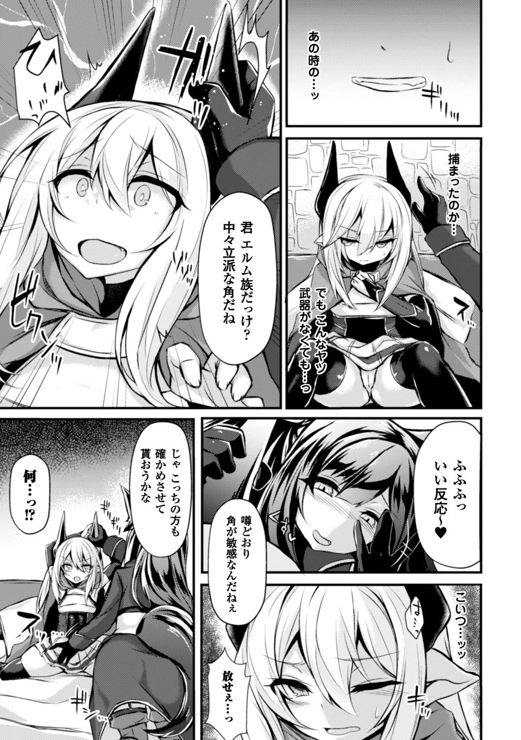 双角の騎士レイラページ3