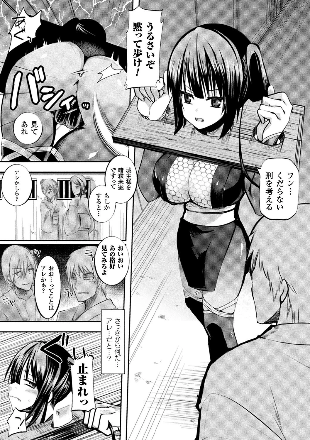 恥辱仕置き淫録ページ4