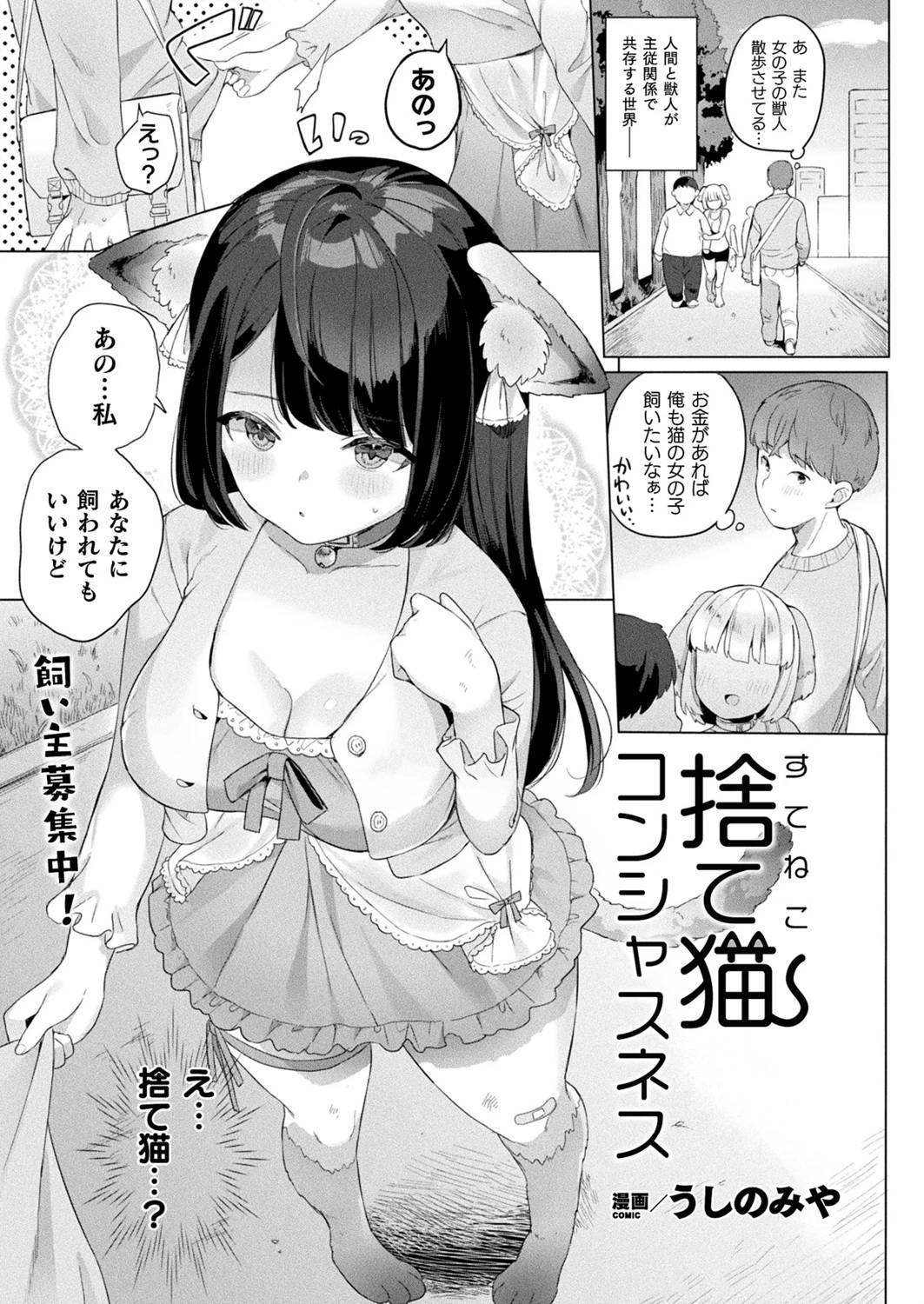 コミックアンリアル Vol.86ページ43