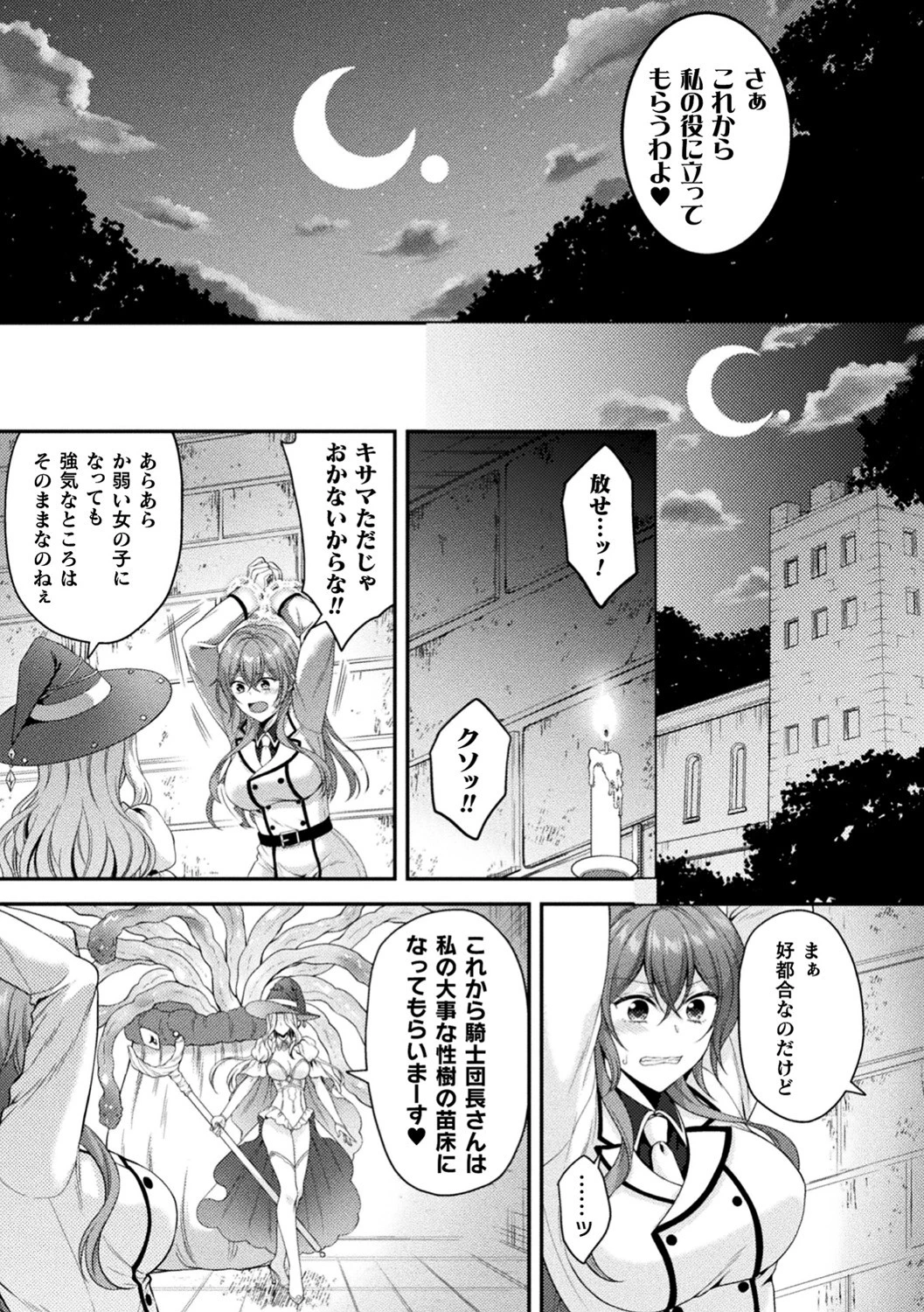 騎士は淫蜜に花咲くページ5