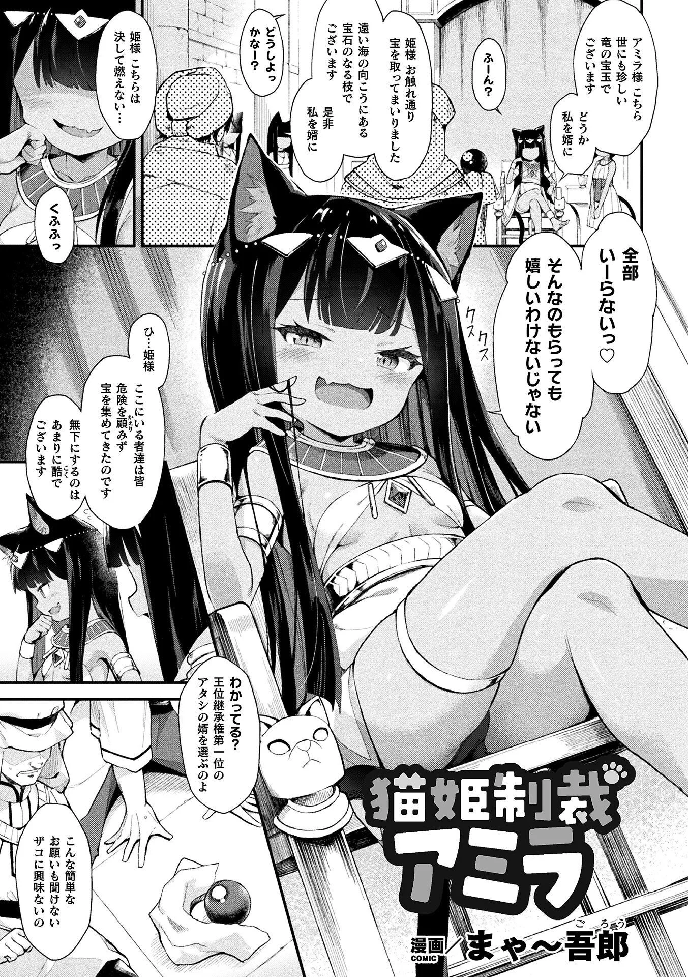 猫姫制裁アミラ