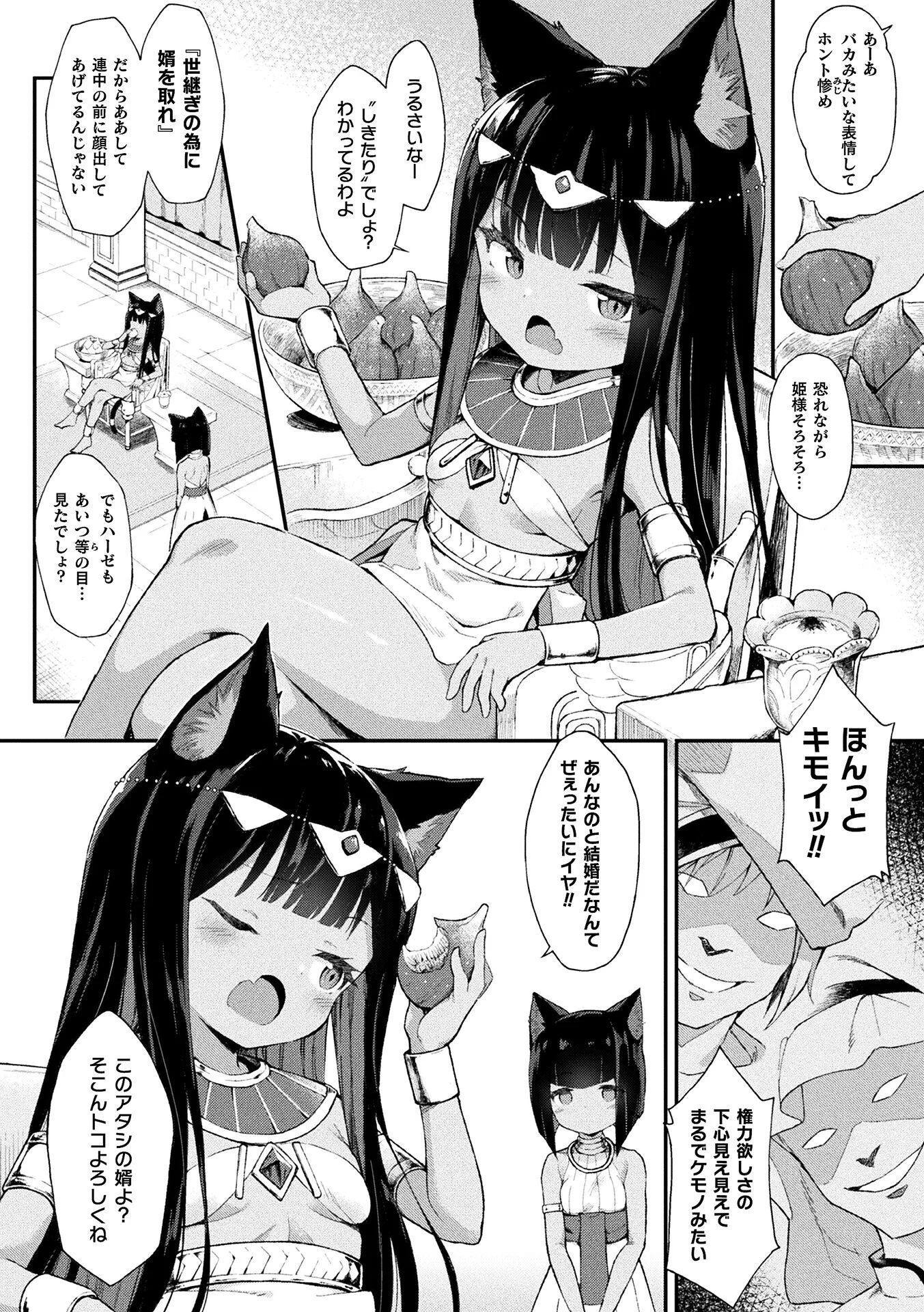 猫姫制裁アミラページ2