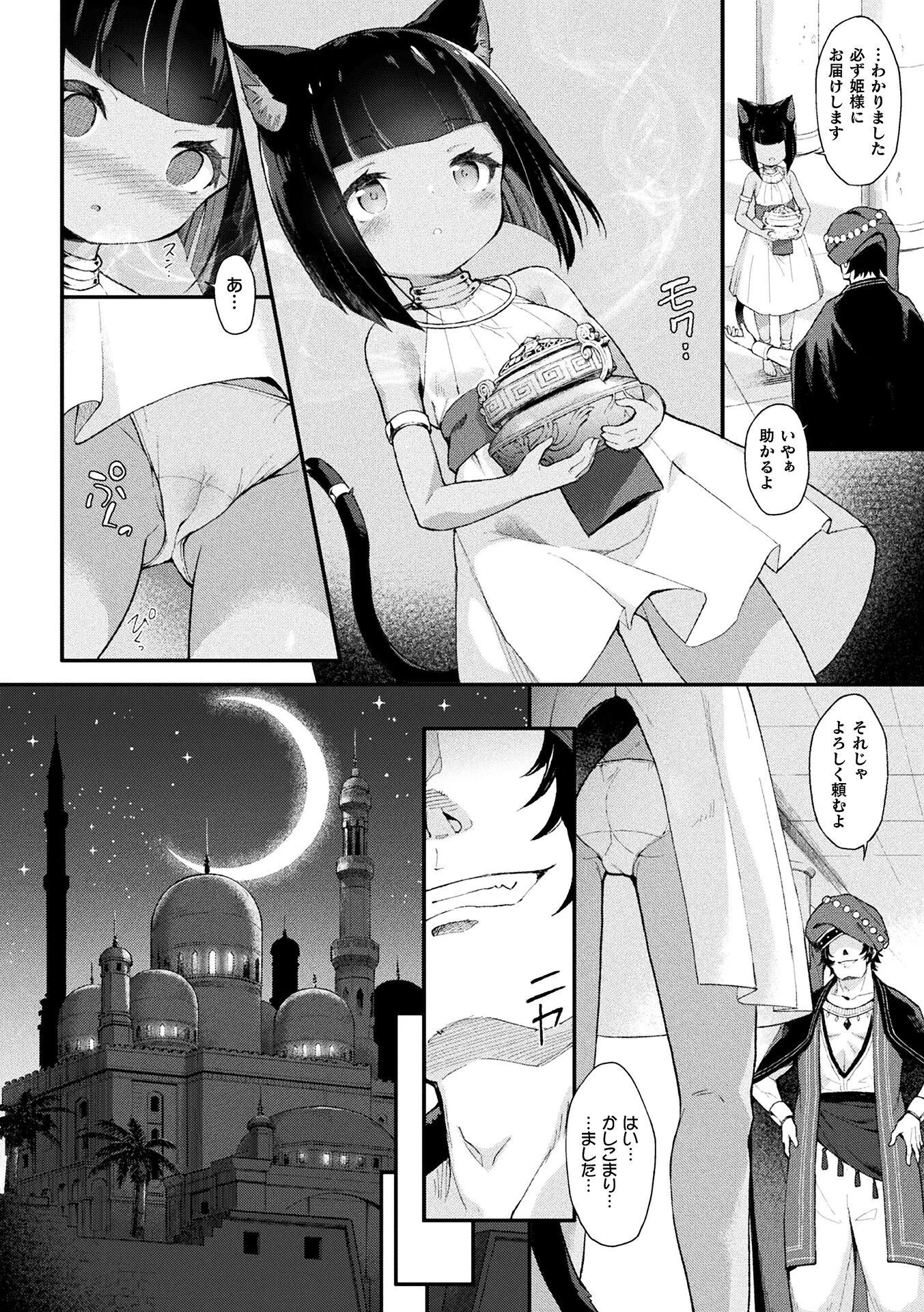 猫姫制裁アミラページ4