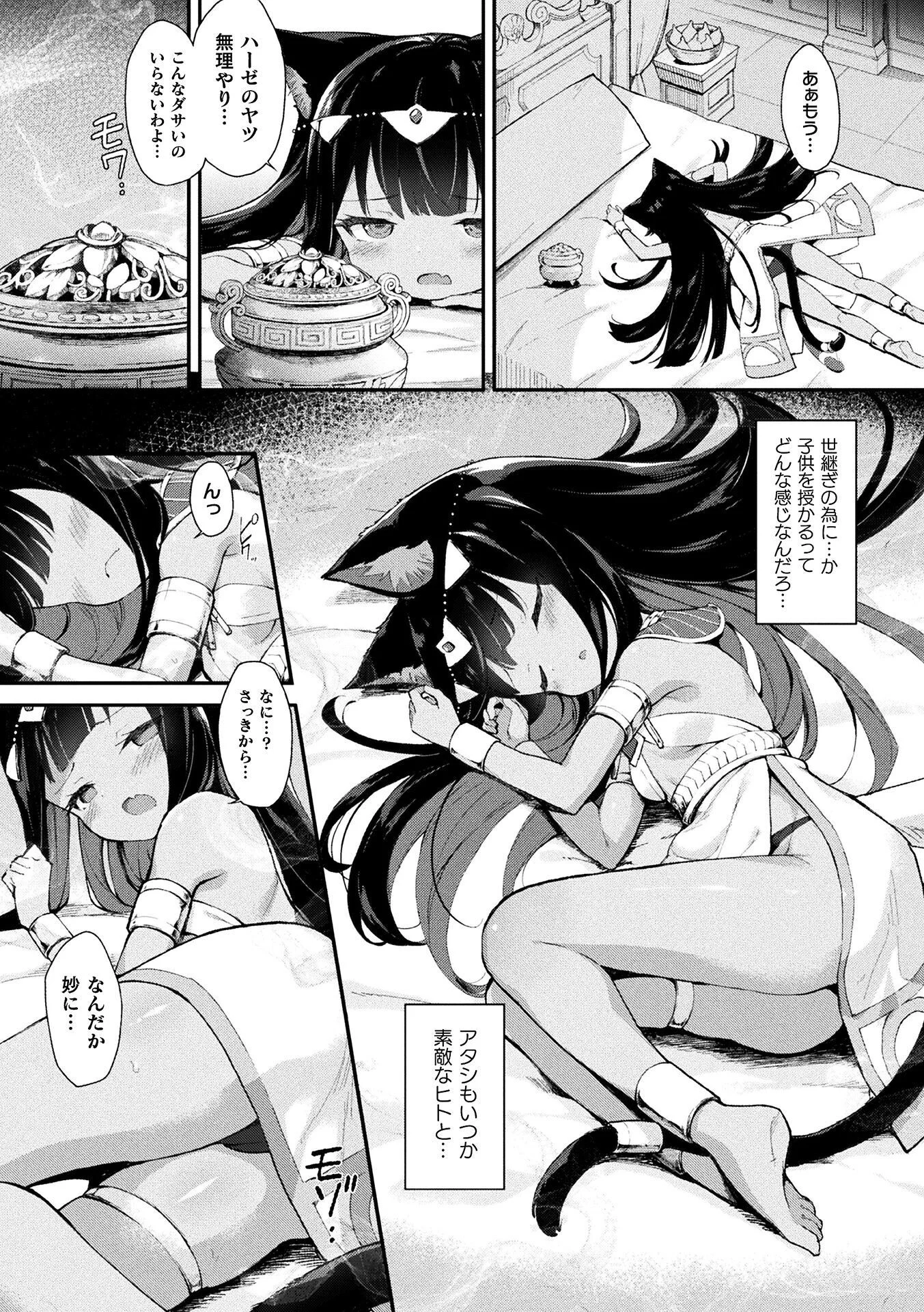 猫姫制裁アミラページ5