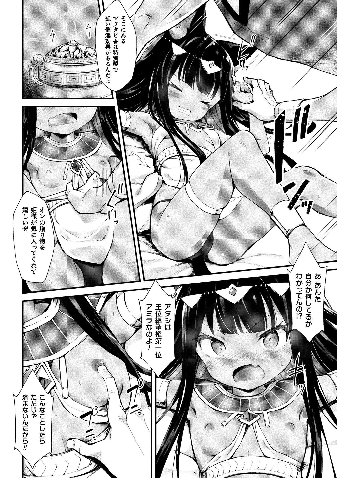 猫姫制裁アミラページ8