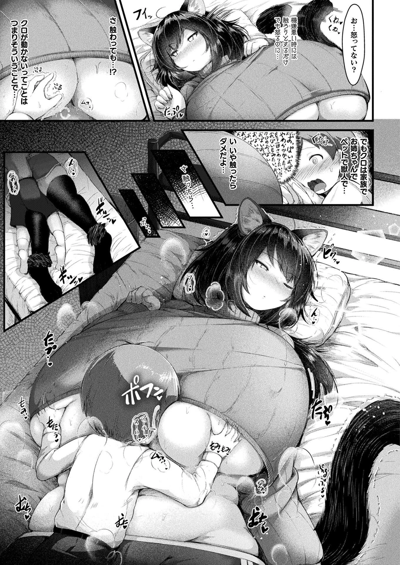 コミックアンリアル Vol.112ページ67