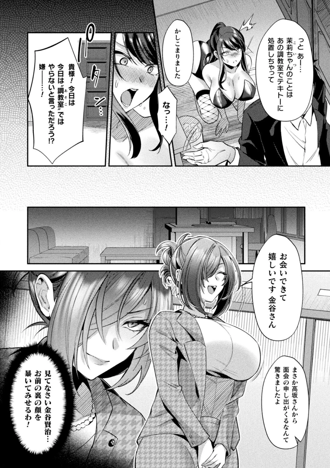 コミックアンリアルぷらすVol.8ページ28