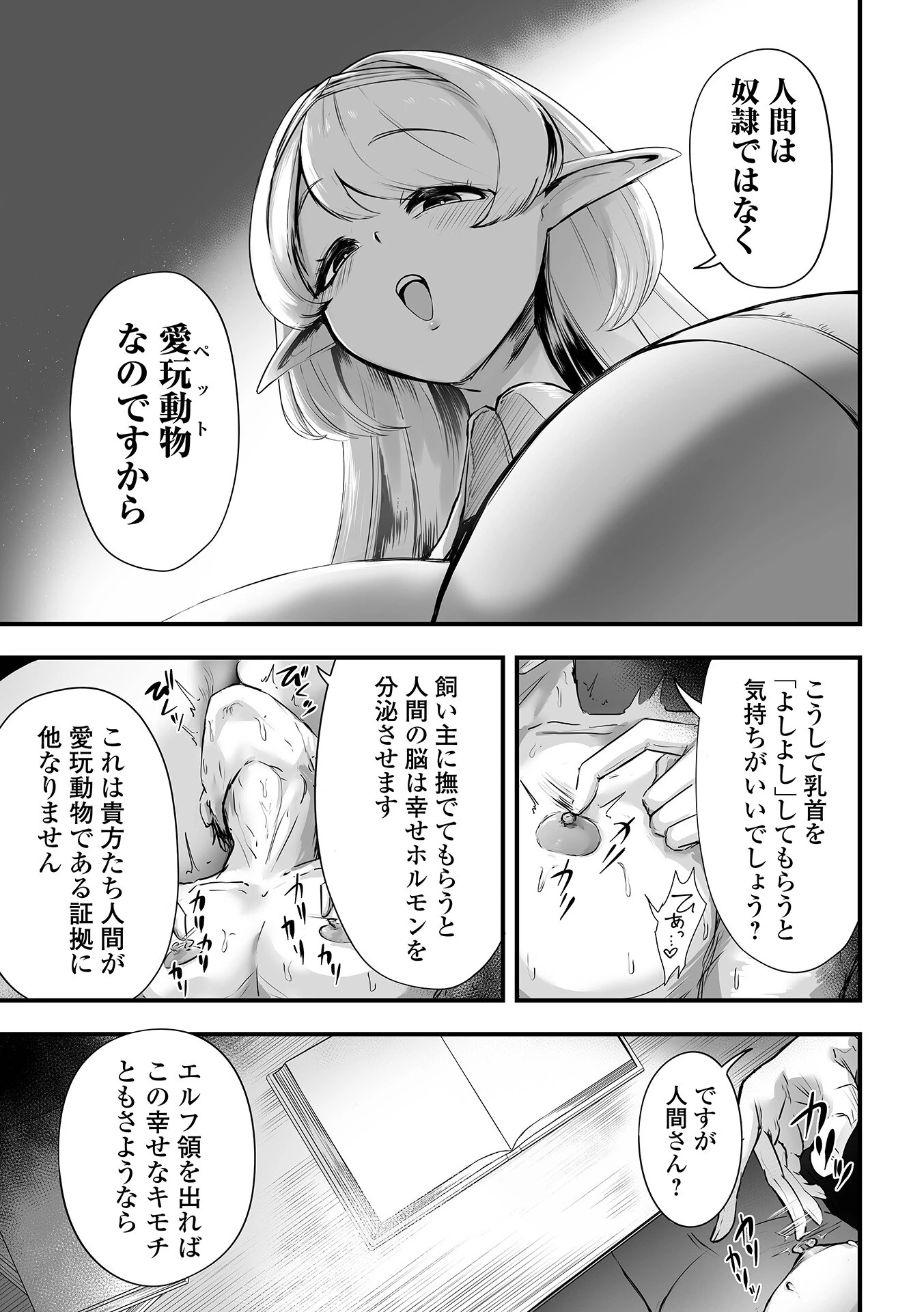エルフ様の人間愛護管理法ページ3