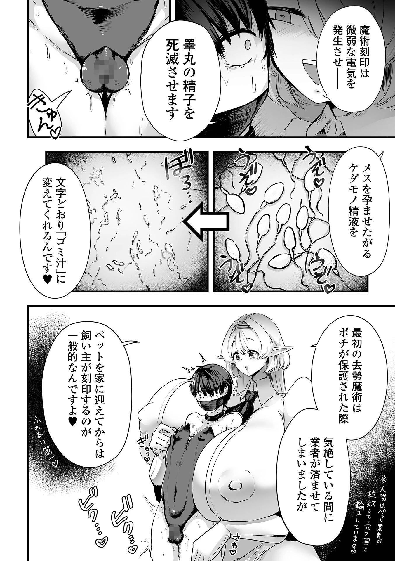 エルフ様の人間愛護管理法 ＃2ページ4
