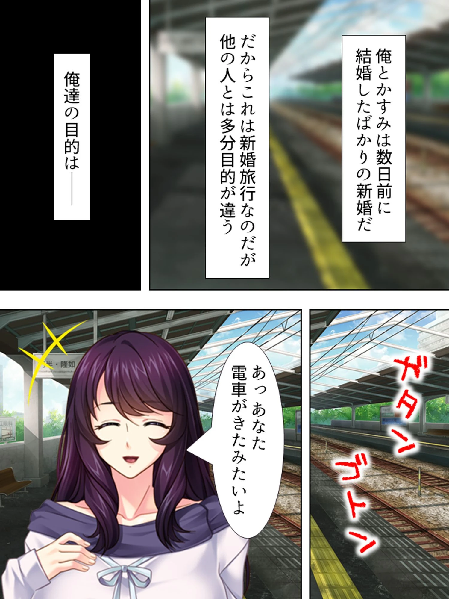 孕ませ新婚旅行 〜奥様は野外プレイがお好き！？〜 第1巻ページ6