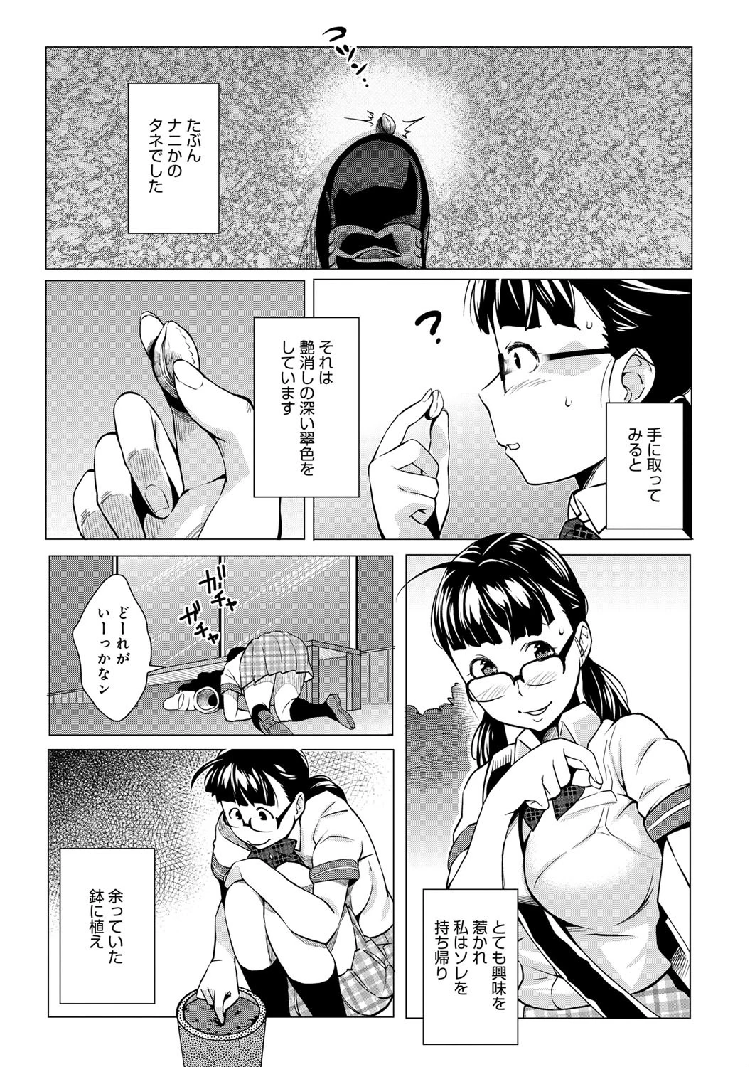 タネページ4
