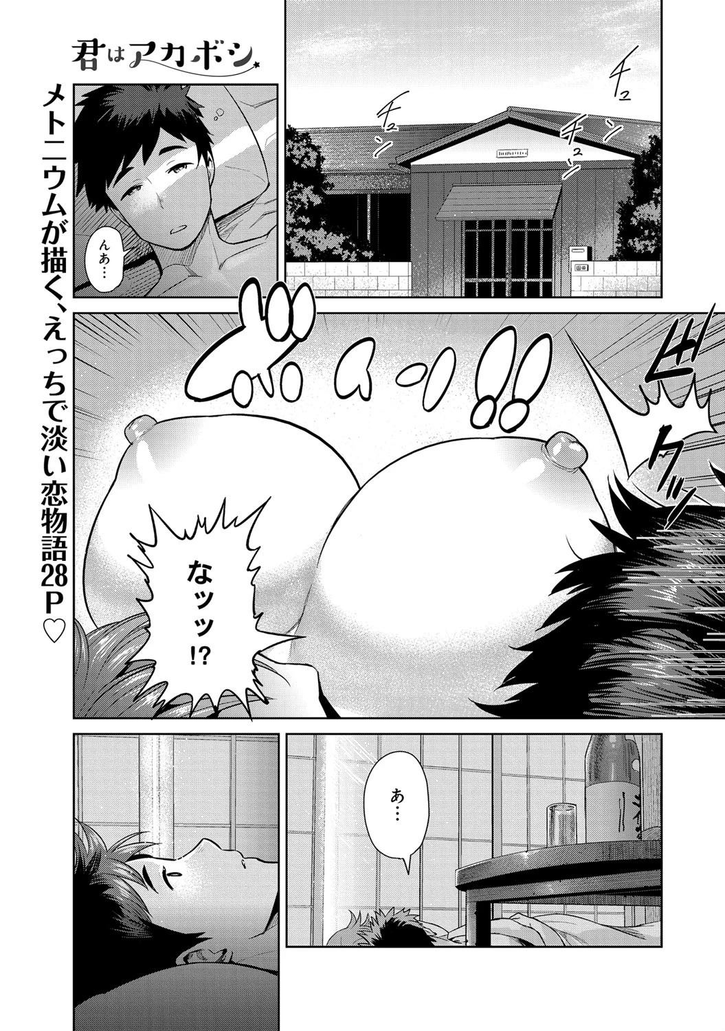 君はアカボシ