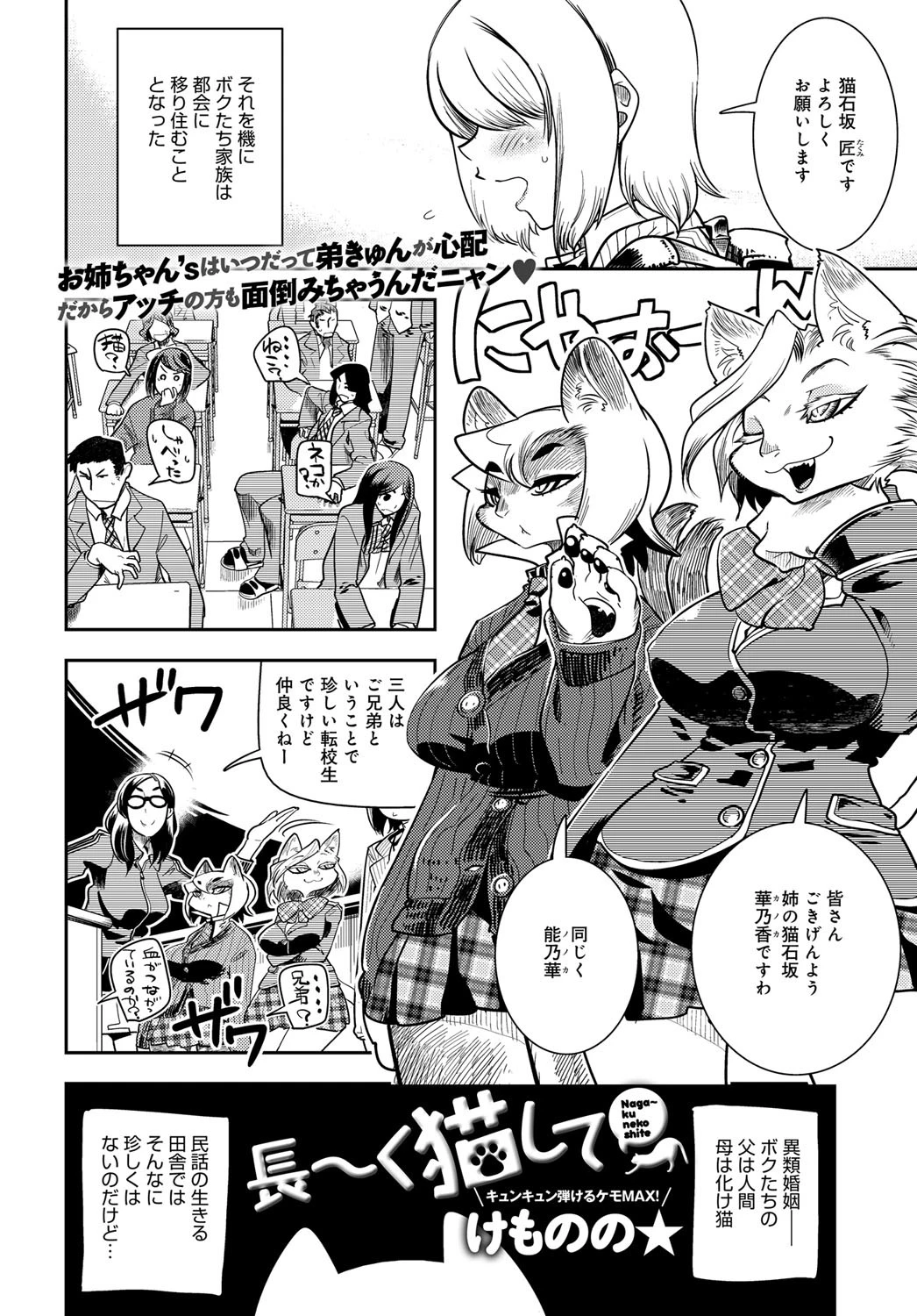 長〜く猫してページ2