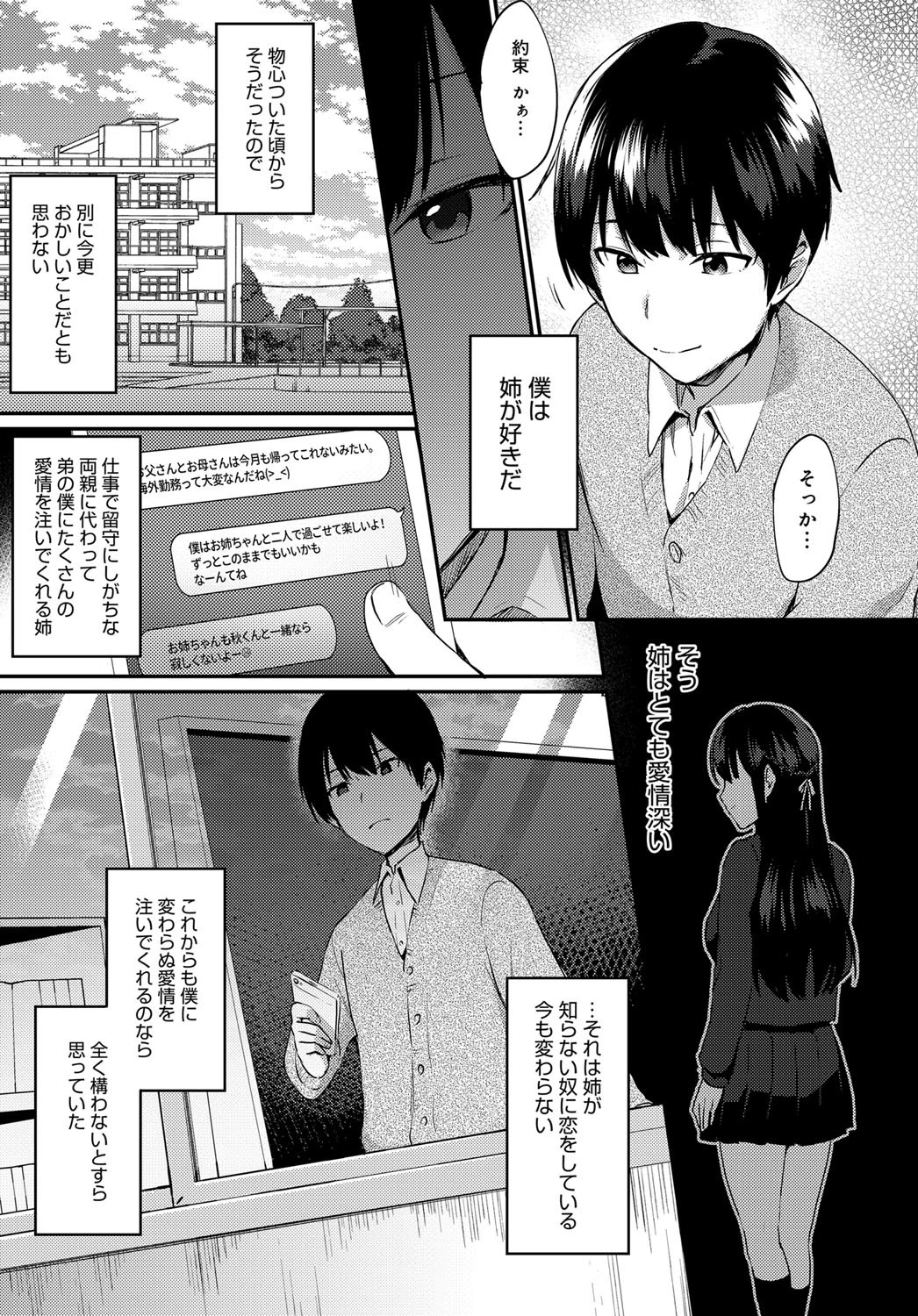姉が恋をしたらしいので 前編ページ3