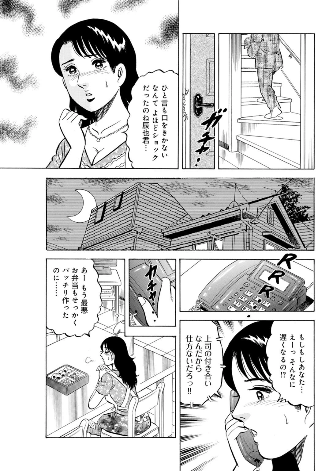 義弟くんのが欲しいの…！！〜兄とのセックスに満足できない義姉さんに誘われて〜 豪華版ページ15