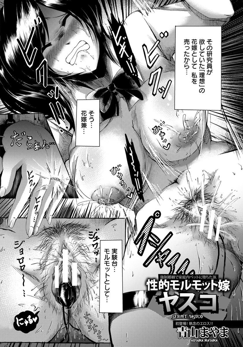 性的モルモット嫁 ヤスコページ2