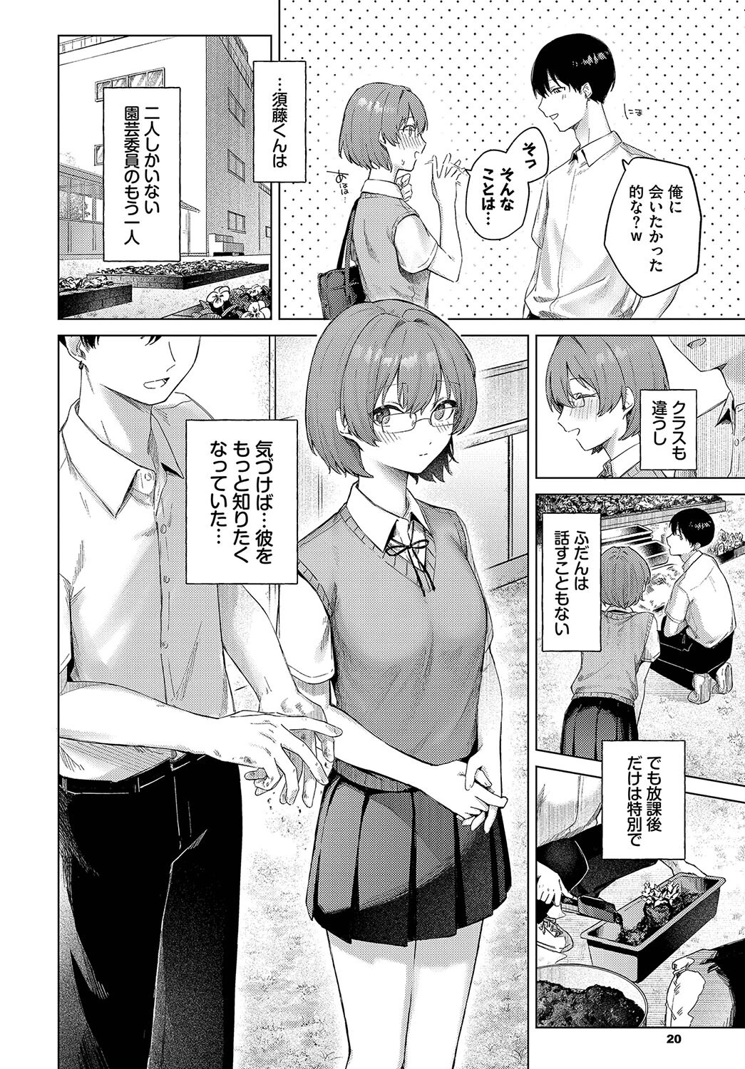 こいもようページ2
