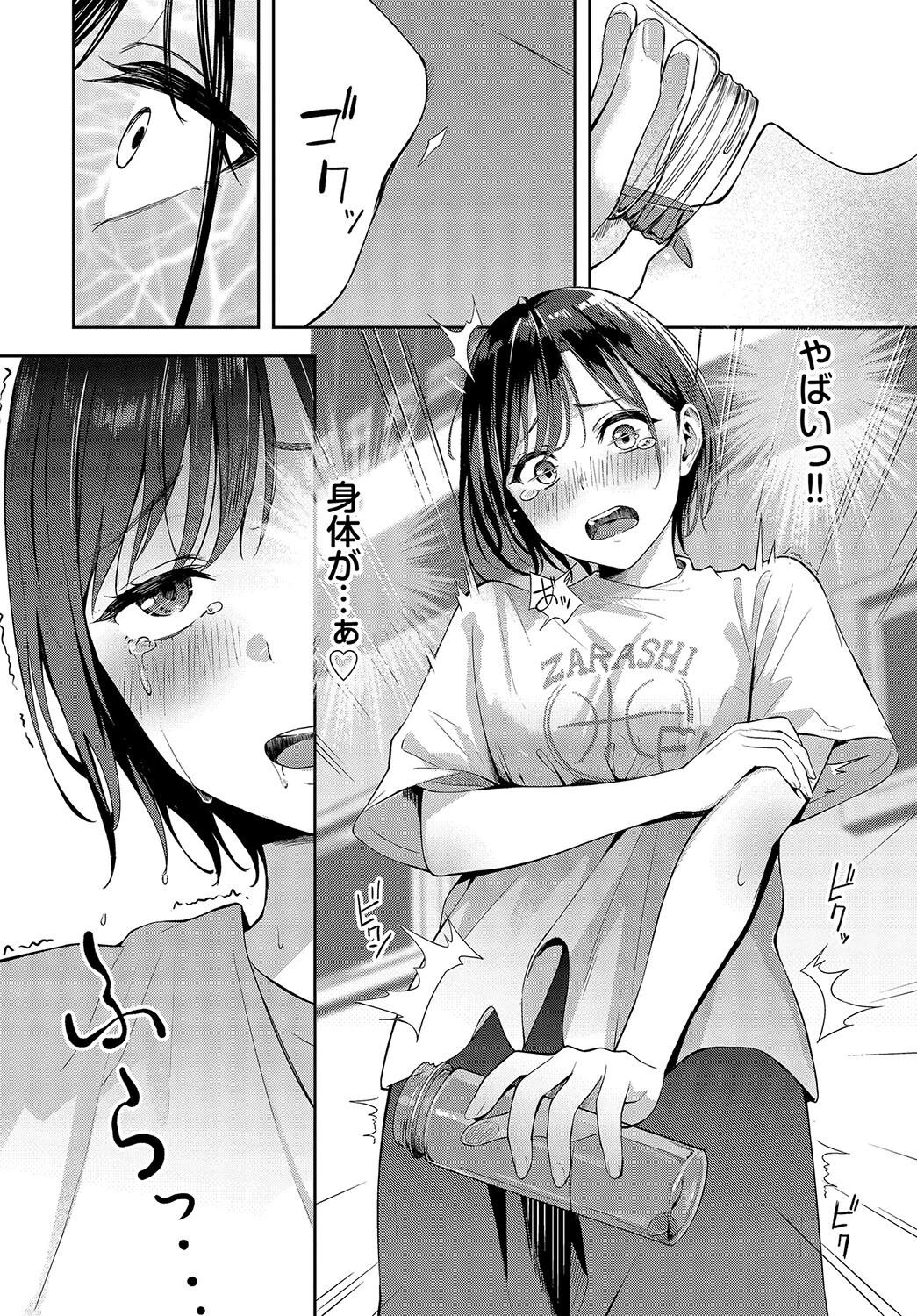 スティールページ6
