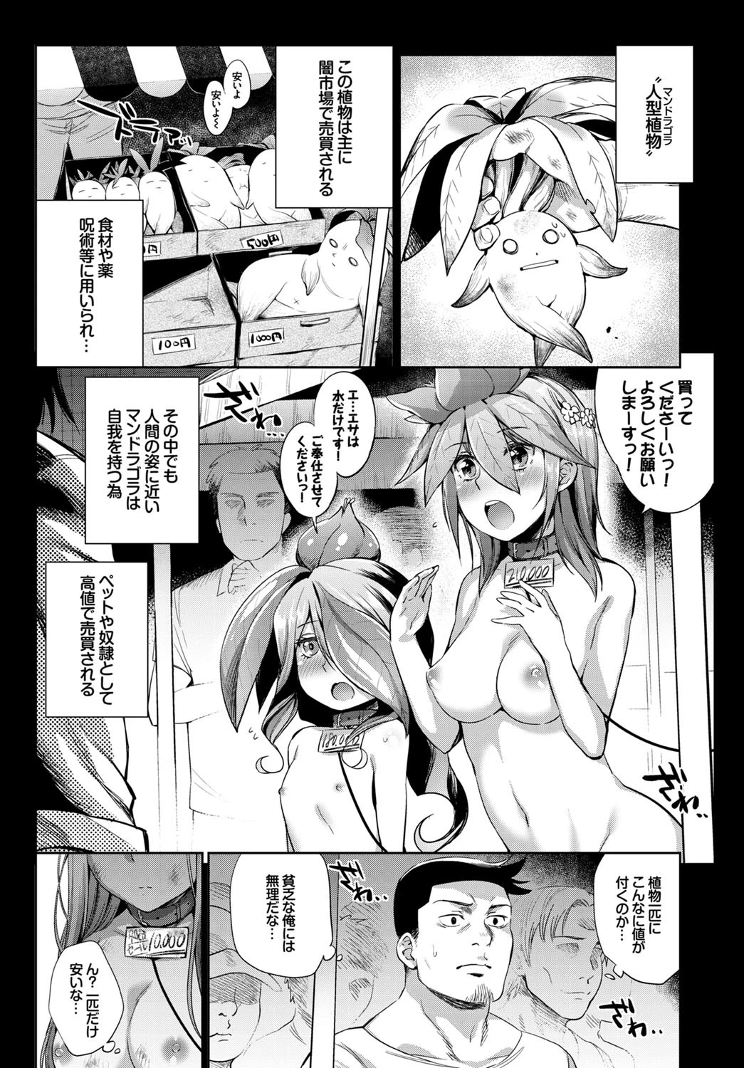植物の育て方ページ4