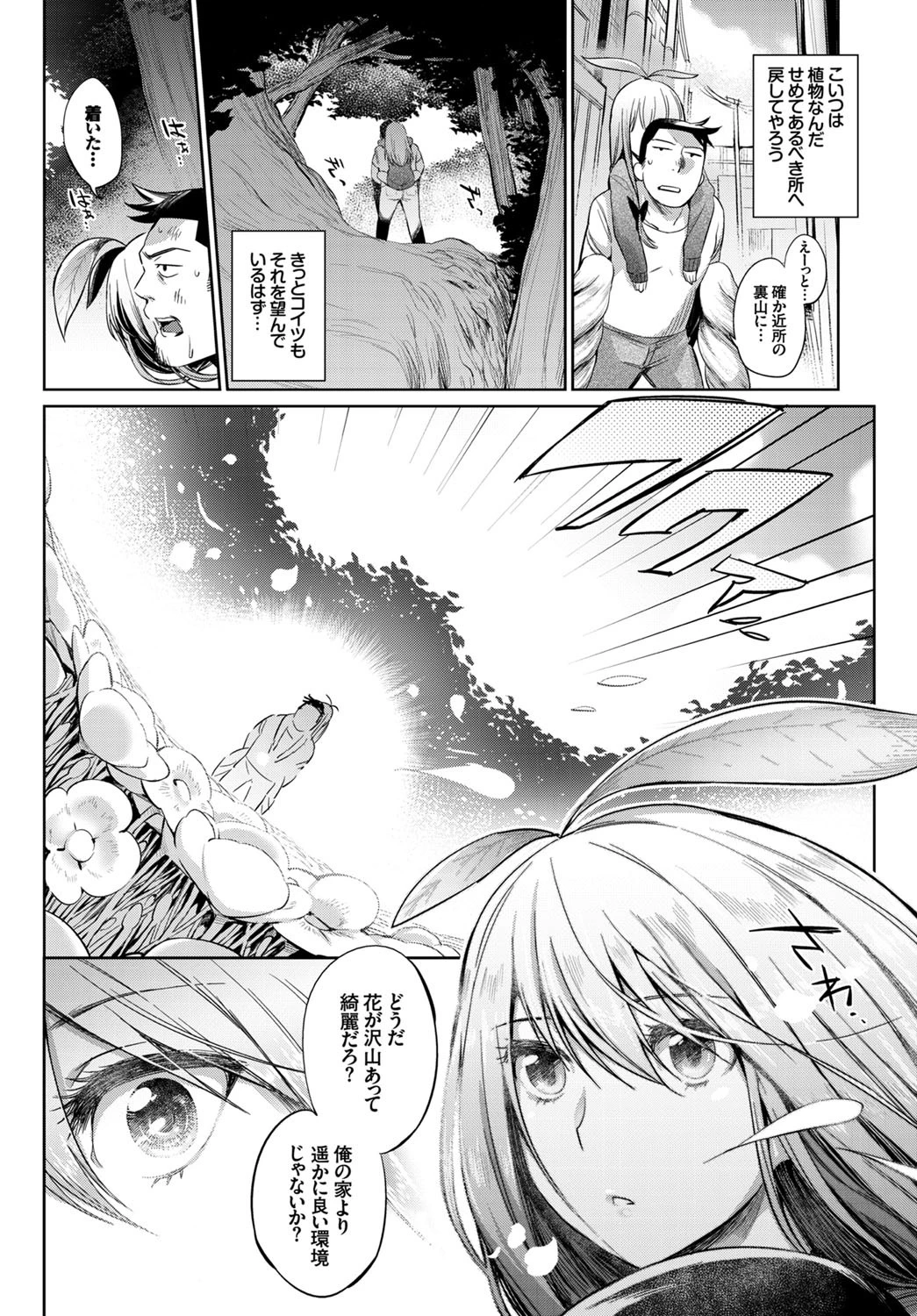 植物の育て方ページ8