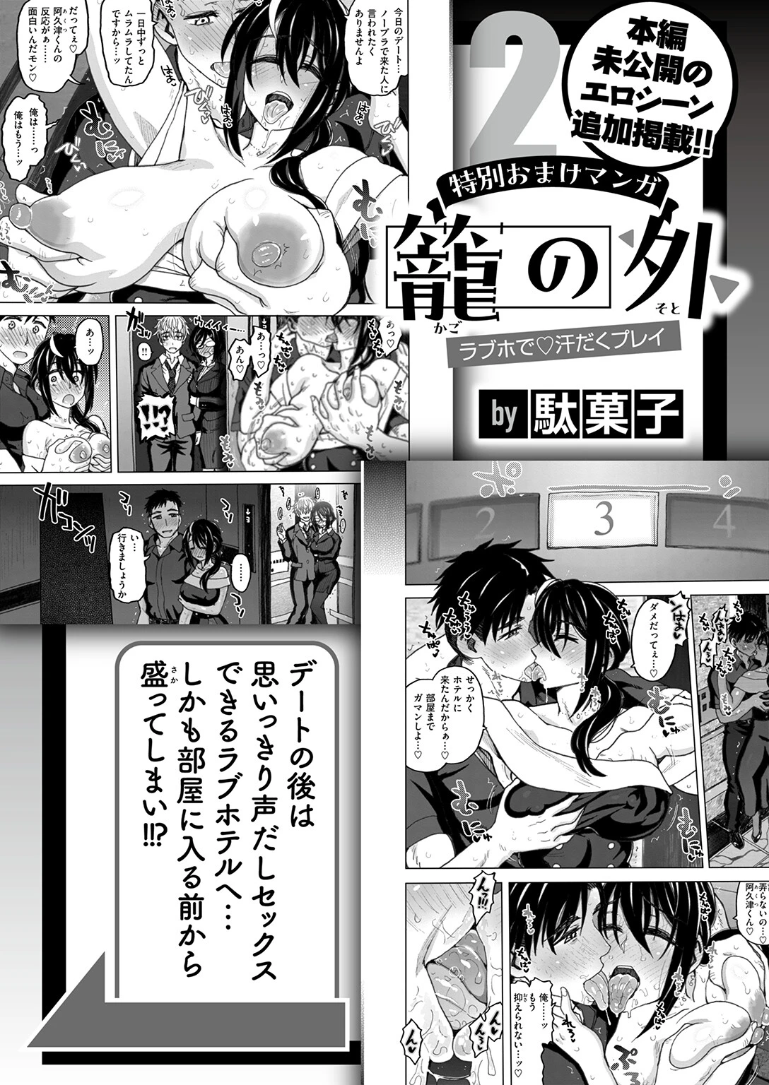 籠の中ページ12