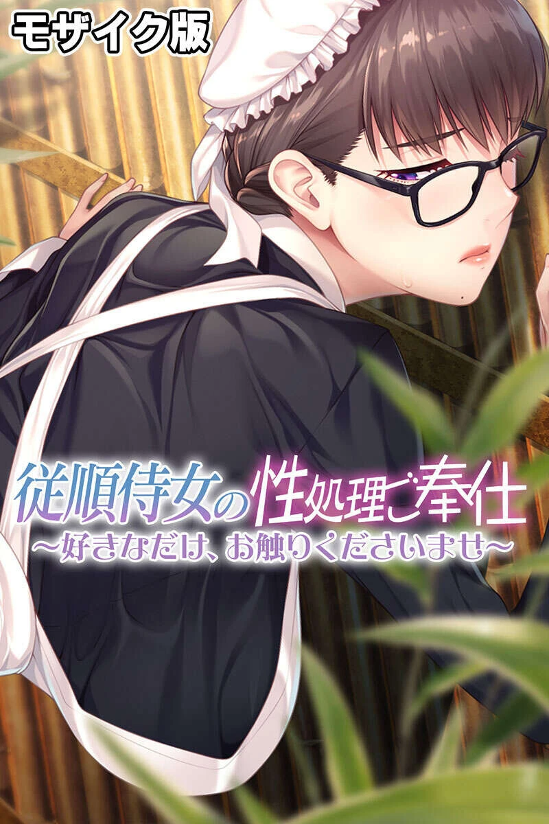 アナタ専用。屈服支配で主従ハメH 〜凶悪SEXになんて絶対負けない!〜 モザイク版ページ3