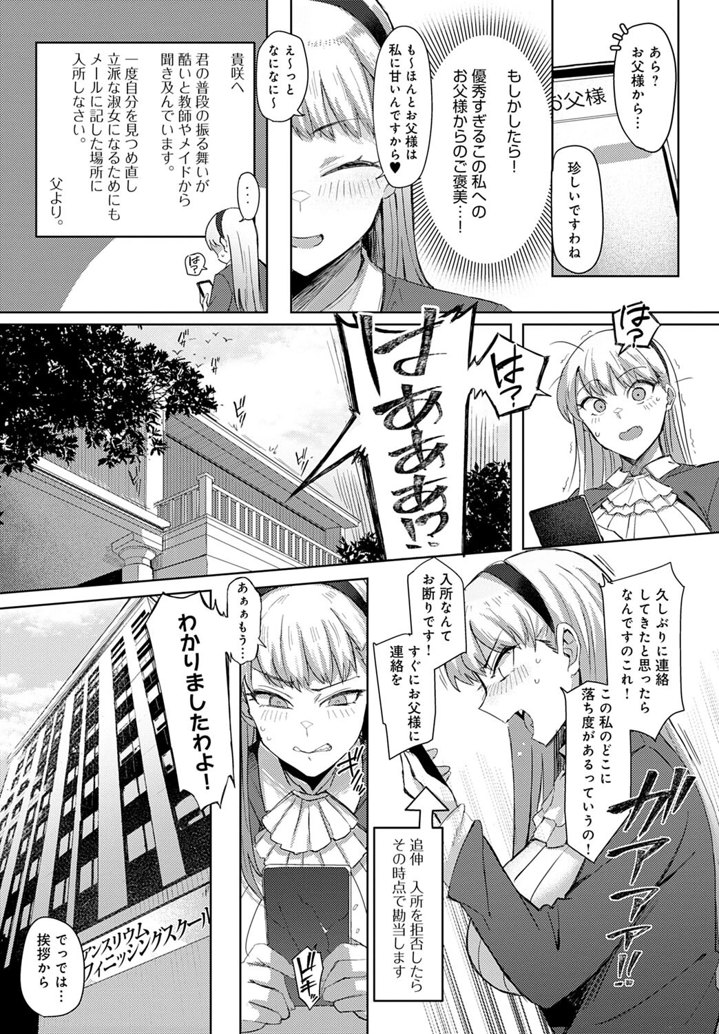 淑女なわけないお嬢様ページ3