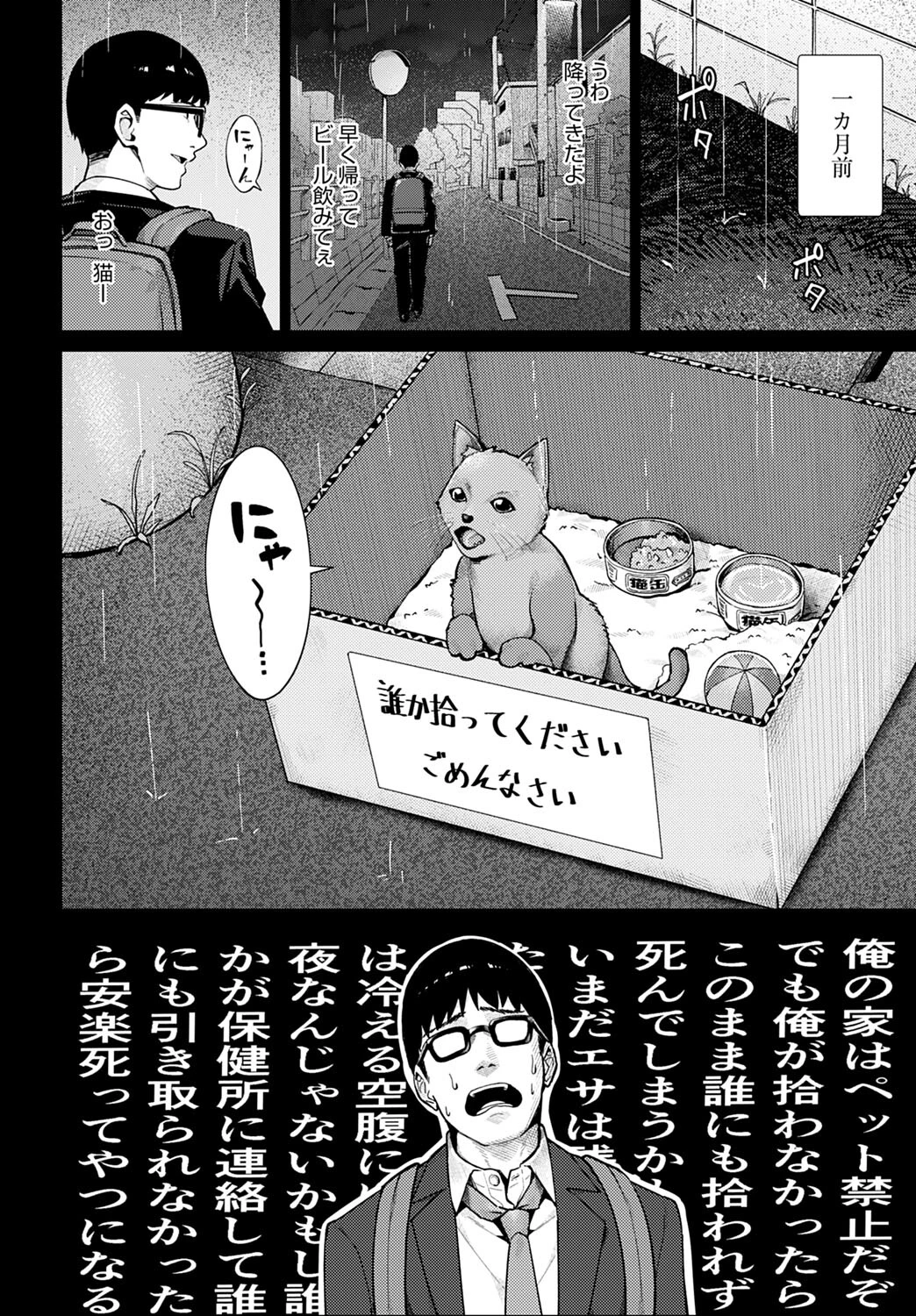 猫と好奇心とJKページ2
