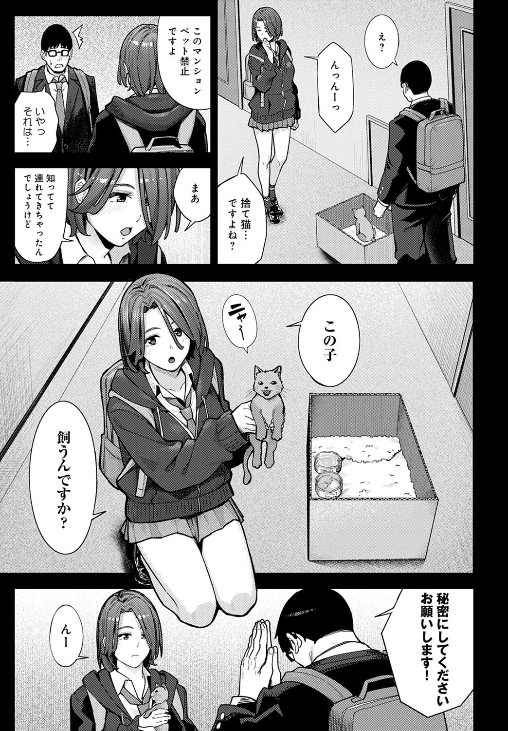 猫と好奇心とJKページ5