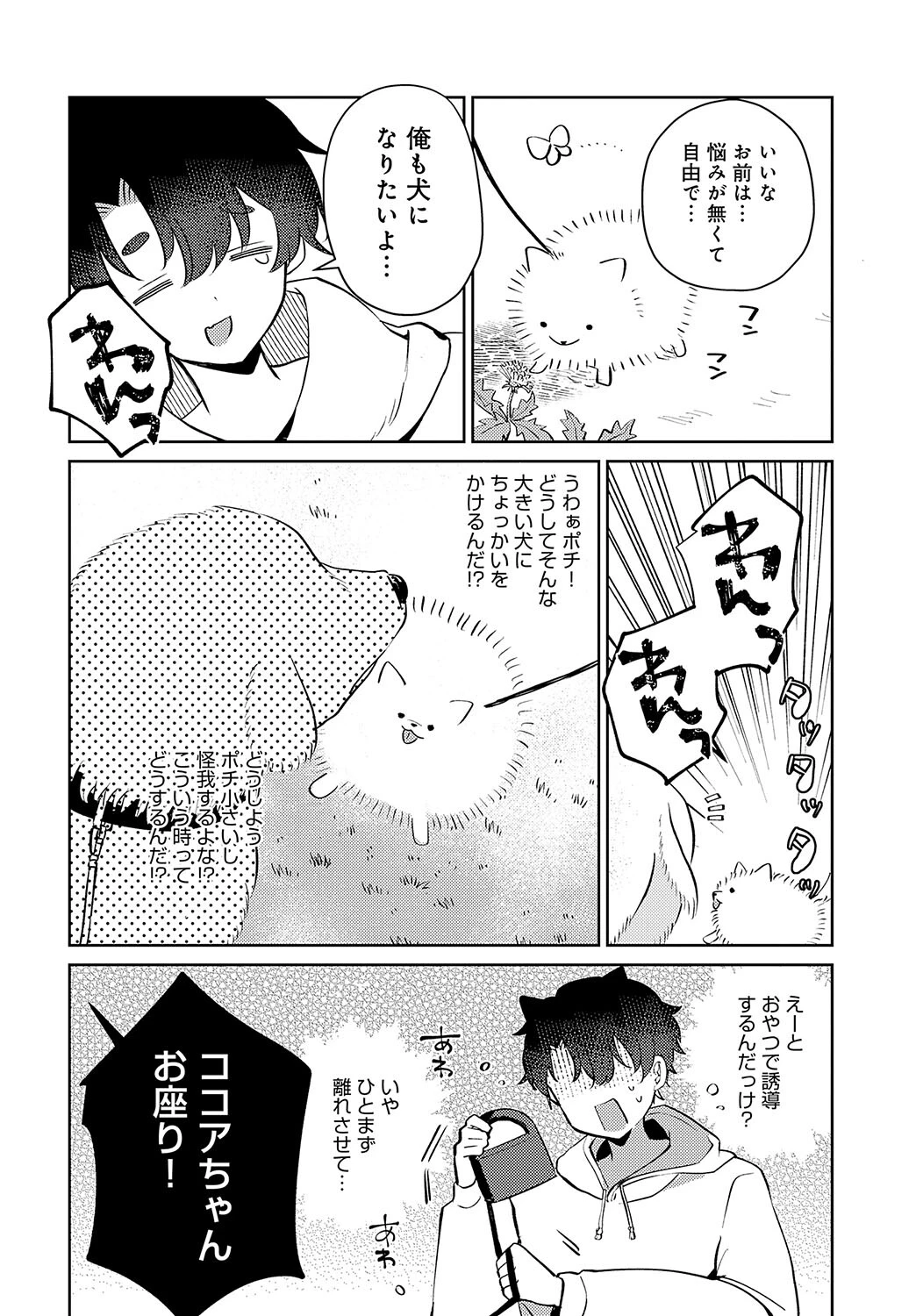 犬も歩けば春にあたるページ2