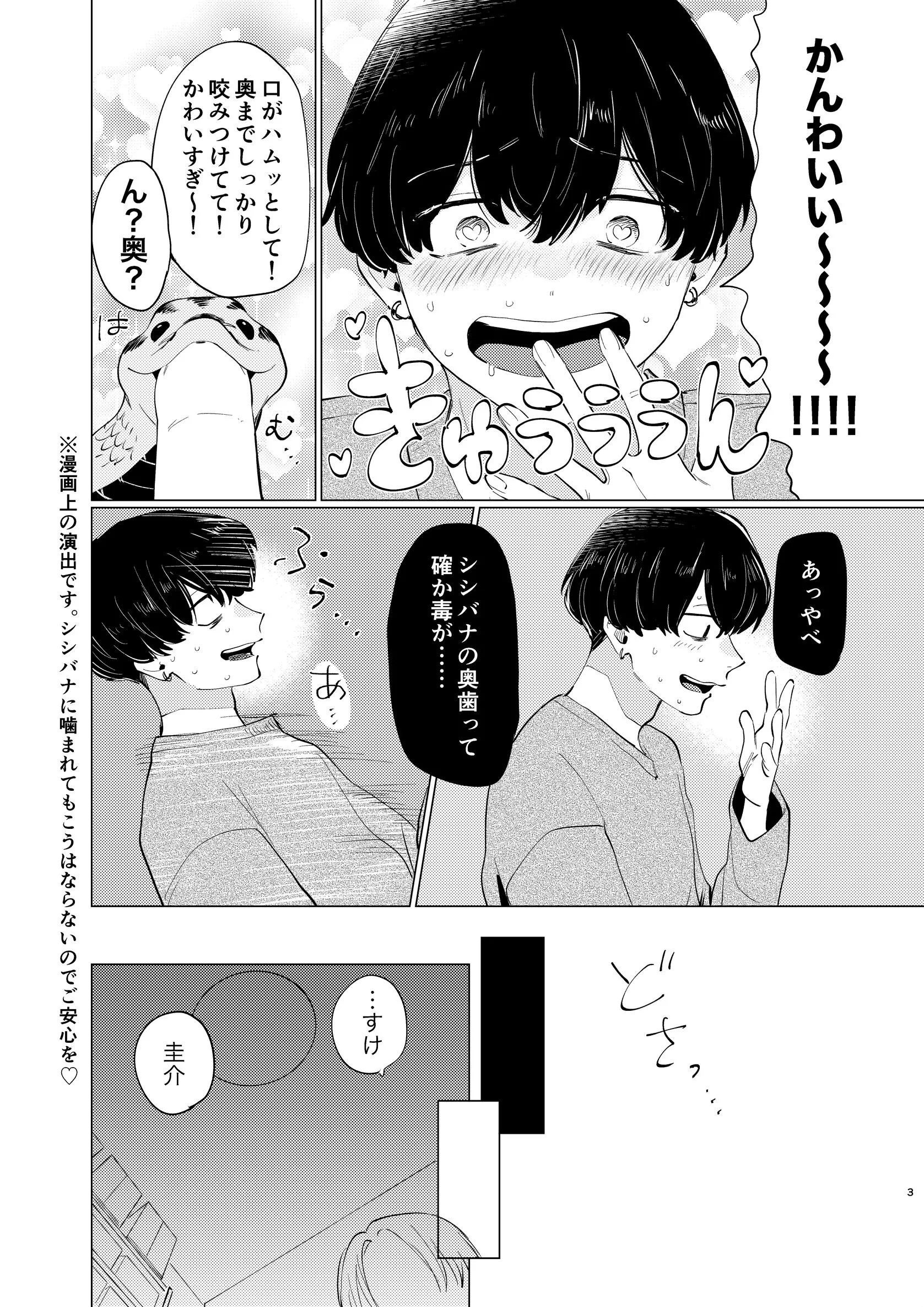 ハナちゃんとけいすけページ5