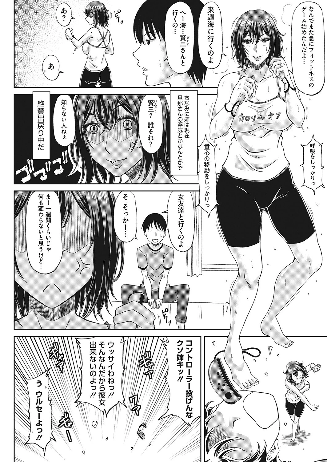 出戻り姉式燃焼系ページ2