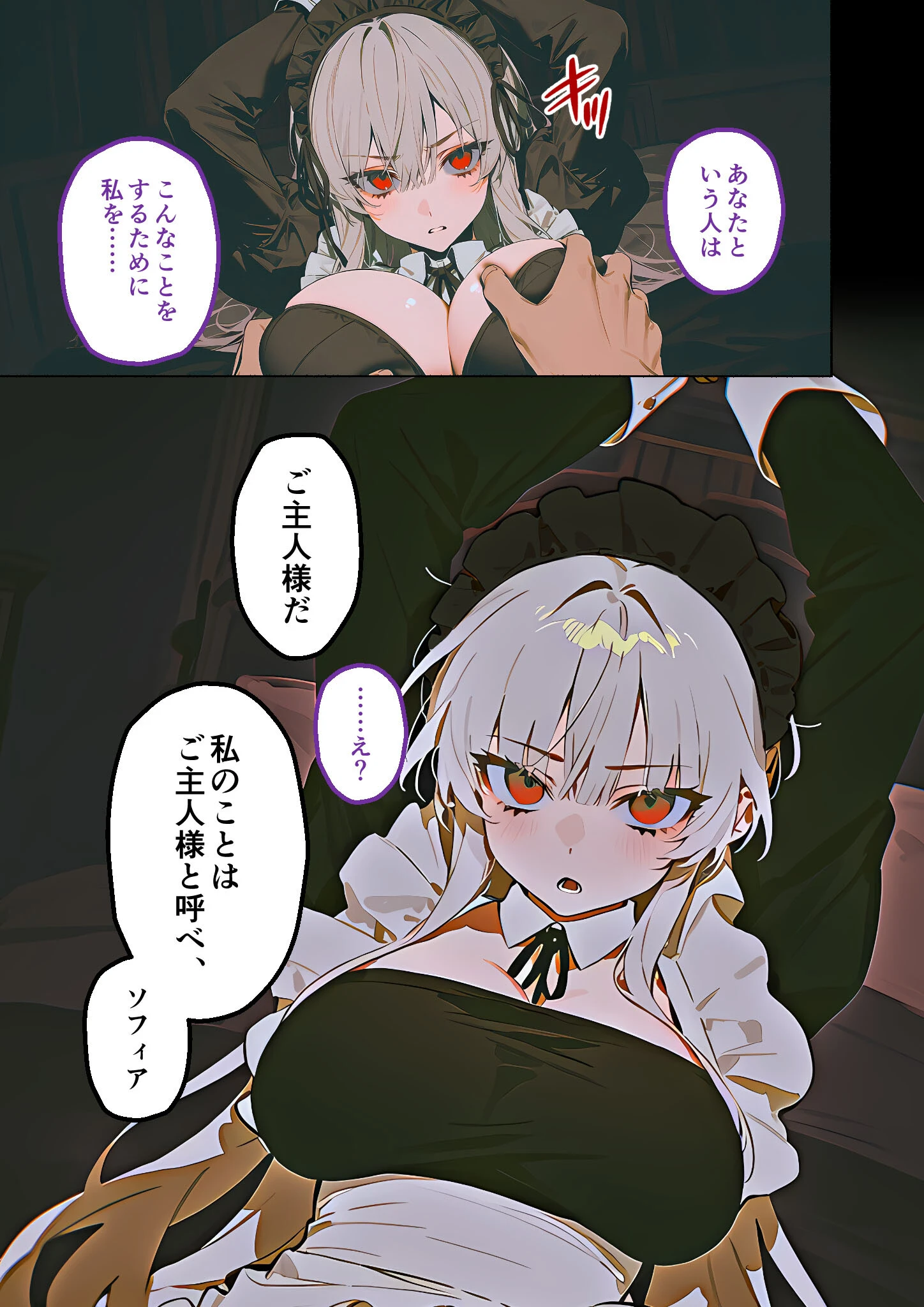 メイド堕ち令嬢開発録02 〜白き矜持が赤く穢れる初夜〜ページ13